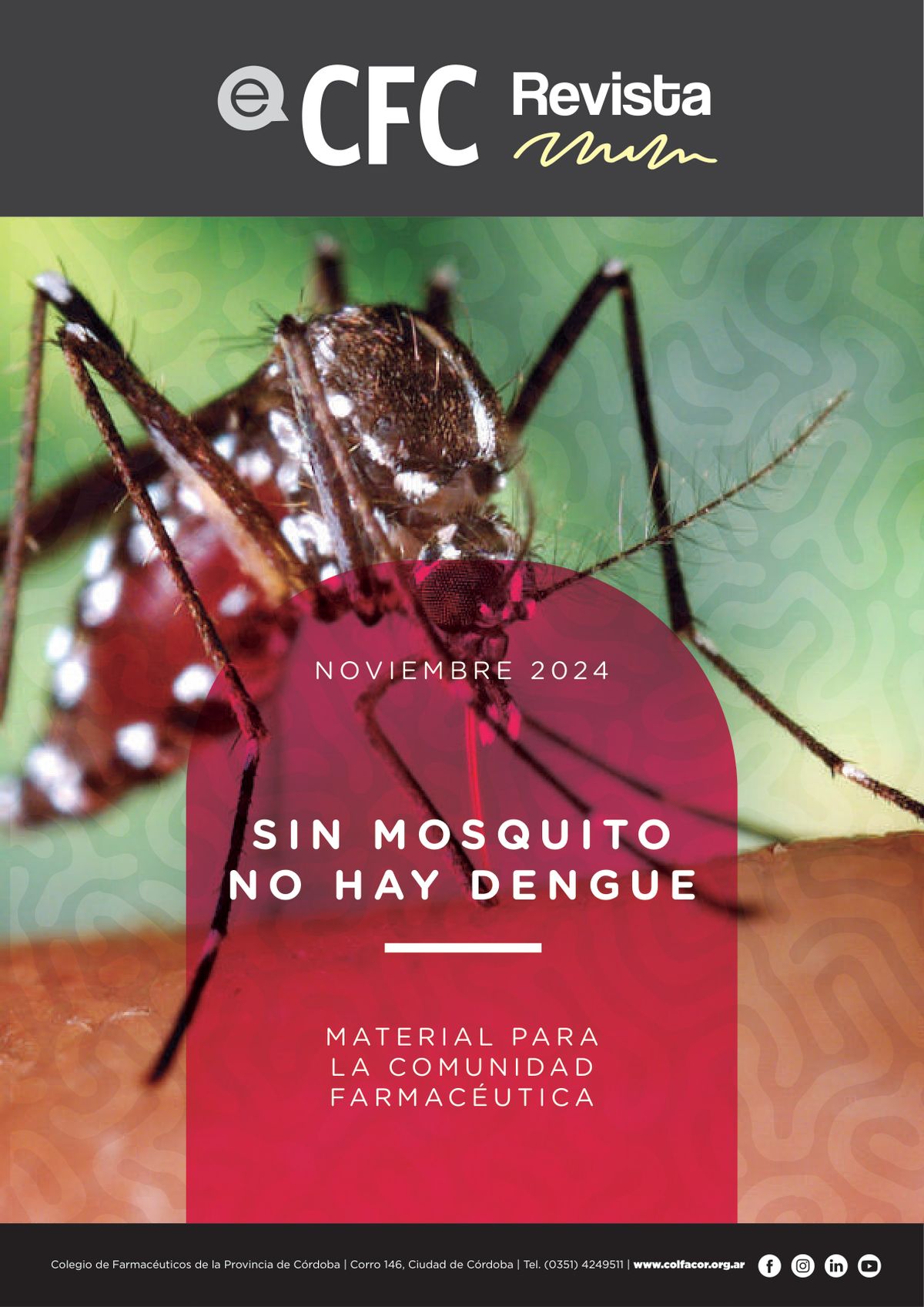 Portada Noviembre 2024